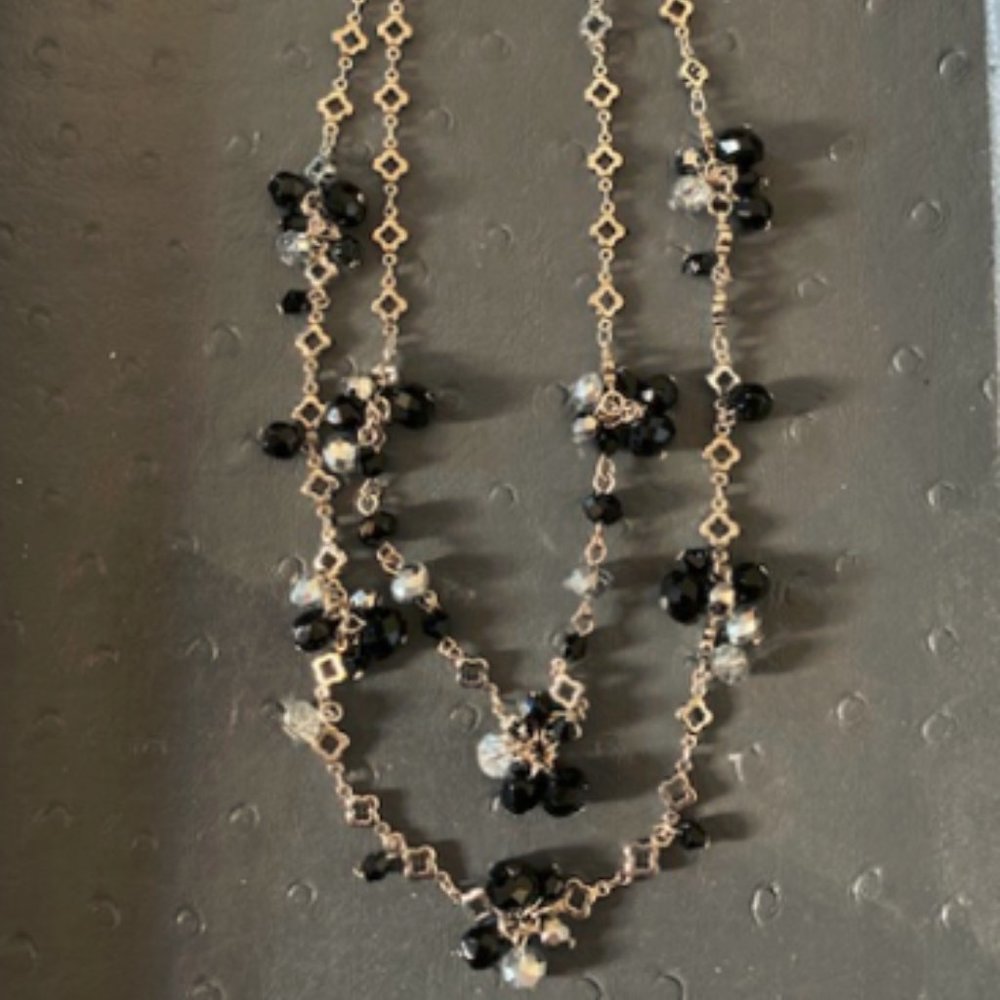 Nwot Double-Strand Necklace